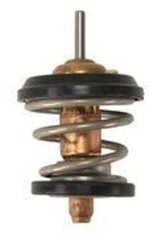 Audi Thermostaat, koelvloeistof TX46095D