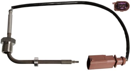 Audi Uitlaatgastemperatuursensor 109396