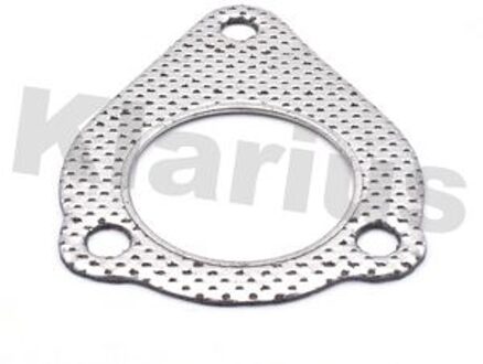 Audi Uitlaatpakking 410468