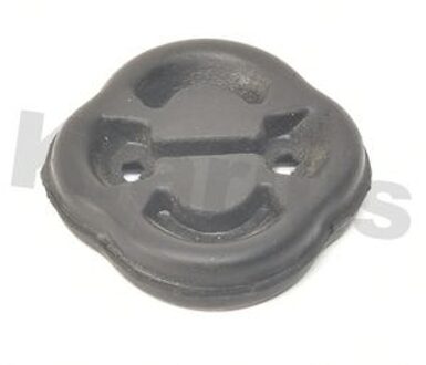 Audi Uitlaatrubber 420170