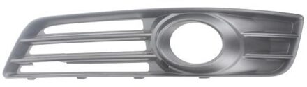 Audi Ventilatiegrille, bumper 6502070026917P