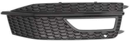 Audi Ventilatiegrille, bumper 6502070029916PS