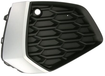 Audi Ventilatiegrille, bumper 6502070039924P