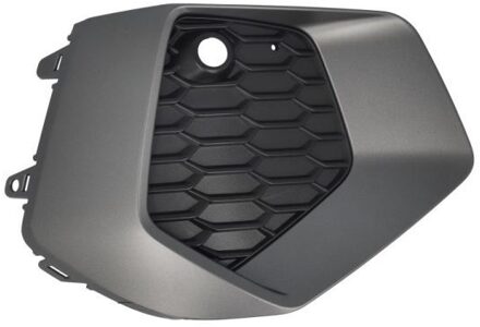 Audi Ventilatiegrille, bumper 6502070039931P