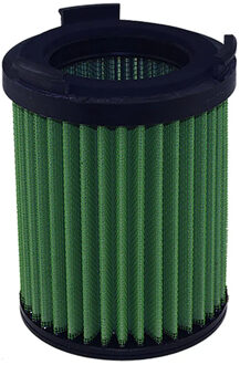 Audi Vervangingsfilter Green G591024