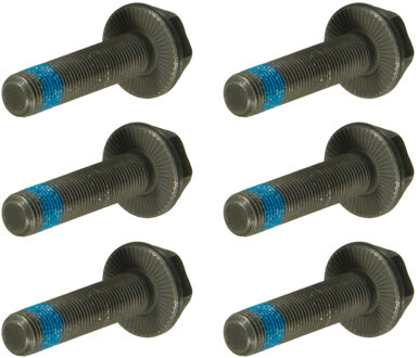 Audi vliegwielschroevenset ADV183316