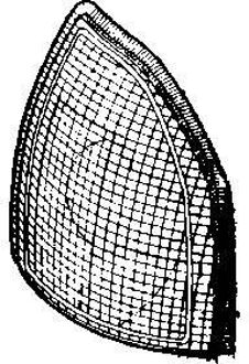 Audi Voorknipperlicht Rechts 80 Oranje
