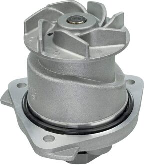 Audi Waterpomp 1130120051