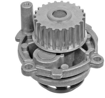 Audi Waterpomp 1130120052