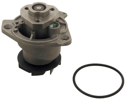Audi Waterpomp 30969