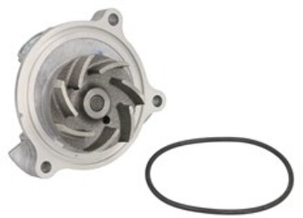 Audi Waterpomp 538004510