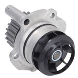 Audi Waterpomp 538004910