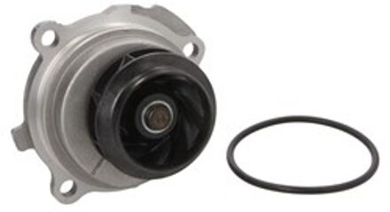 Audi Waterpomp 538008810