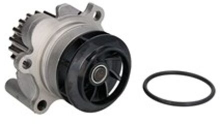 Audi Waterpomp 538008910