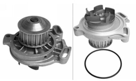 Audi Waterpomp 538010410