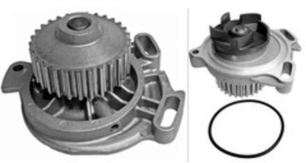 Audi Waterpomp 538033210