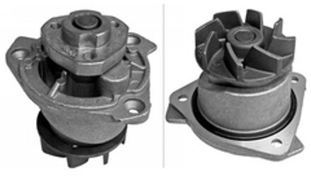 Audi Waterpomp 538033410