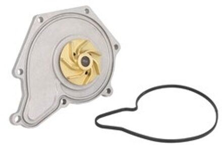 Audi Waterpomp 538035510
