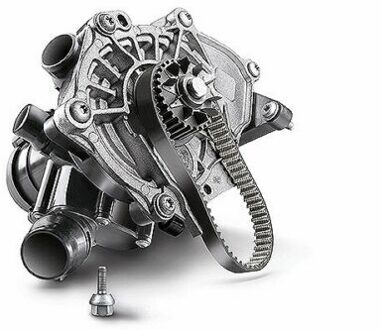 Audi Waterpomp 538036010