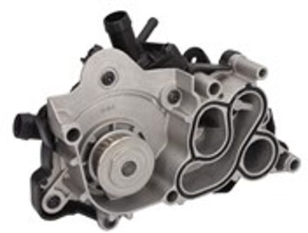 Audi Waterpomp 538036310
