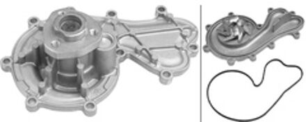 Audi Waterpomp 538036510