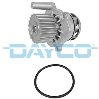 Audi Waterpomp DP163