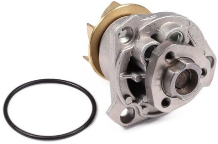 Audi Waterpomp P525