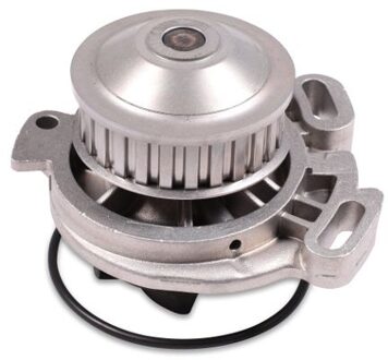 Audi Waterpomp P526