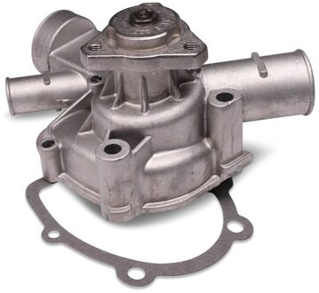Audi Waterpomp P529