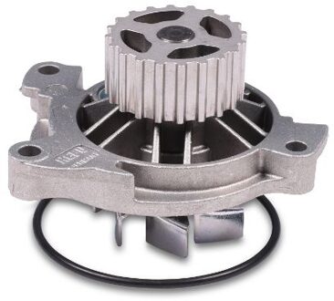 Audi Waterpomp P536