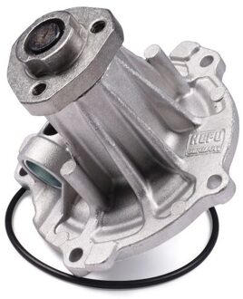 Audi Waterpomp P542