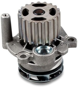 Audi Waterpomp P569