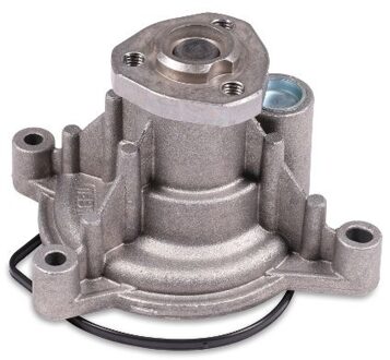 Audi Waterpomp P570