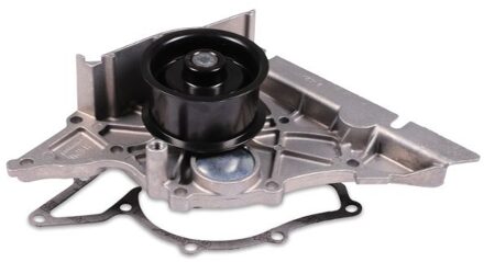 Audi Waterpomp P579