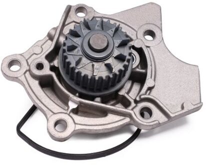 Audi Waterpomp P676