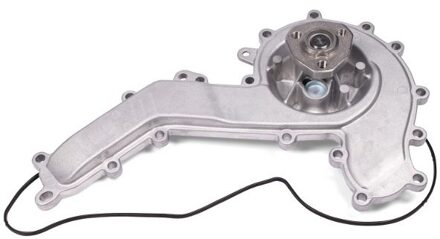Audi Waterpomp P684