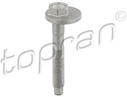 Audi Wielvluchtcorrectieschroef 119040