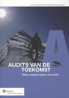 Audits van de toekomst - Boek Luluk van de Water-Astro (9013106331)