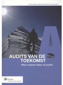 Audits van de toekomst - Boek Luluk van de Water-Astro (9013106331)