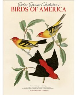 Audubon's Birds Of America Dlx W - Media, Gladstone