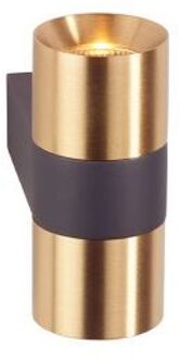 Audy-Wall 2S Duo Wandlamp - 2700K - 40° - Grijs frame - Messing ring