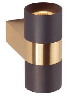Audy-Wall 2S Duo Wandlamp - 2700K - 40° - Messing frame - Grijze ring Goud