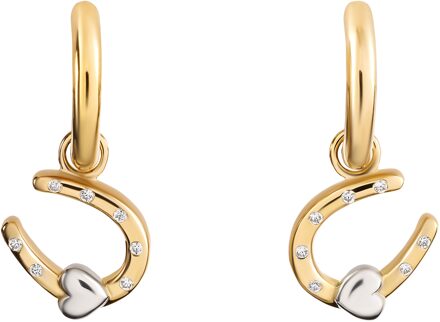 'Aurora' Dames 925 Sterling Zilveren Oorbellen - Zilver/Goud ZO-7525/G Zilver en goud