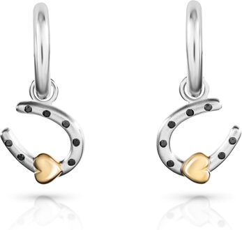 'Aurora' Dames 925 Sterling Zilveren Oorbellen - Zilver/Goud ZO-7525 Zilver en goud