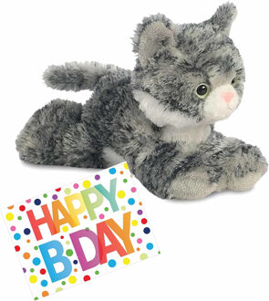 Aurora Pluche knuffel kat/poes grijs/witte 20 cm met A5-size Happy Birthday wenskaart - Knuffel huisdieren