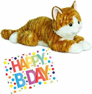 Aurora Pluche knuffel kat/poes rood 30 cm met A5-size Happy Birthday wenskaart - Knuffel huisdieren