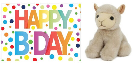 Aurora Pluche knuffel lammetje/schaap 13 cm met A5-size Happy Birthday wenskaart