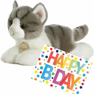 Aurora Pluche knuffel poes - grijs / wit - 20 cm - met A5-size Happy Birthday wenskaart - cadeau - kat