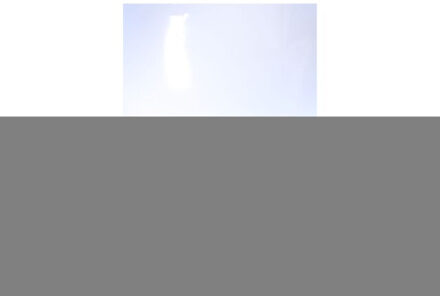 Australian Footwear Hawker sneakers Veelkleurig - 42