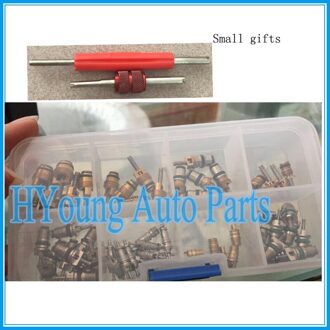 Auto-onderdelen Airconditioning R134a A/C Hoge & Lage Druk Ventiel Cores Assortiment met Twee Ventiel gereedschap